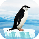 Knowee : Penguins APK