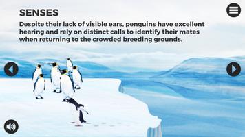 Knowee : Penguins capture d'écran 2