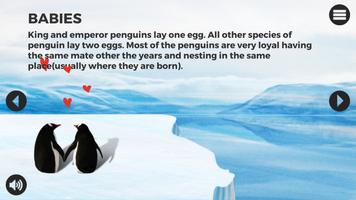 Knowee : Penguins capture d'écran 3