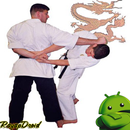 Best Aikido Technique Strategy APK