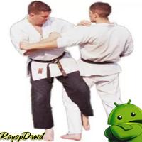 Best Aikido Technique Strategy capture d'écran 3