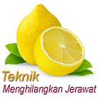 Teknik Menghilangkan Jerawat आइकन