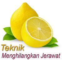 Teknik Menghilangkan Jerawat পোস্টার