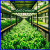 Agricultural Techniques APK