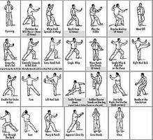 Tai Chi Technique poster