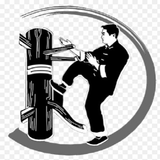 Wing Chun Technique icon