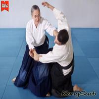 Aikido Otodidak Learning Technique capture d'écran 3