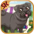 Pug The dog Makeover Doctor Game