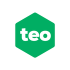 Teo-icoon