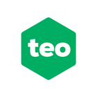 Teo icon