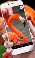 Flamingo Lock Screen ảnh chụp màn hình 2