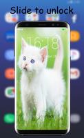 Kitten Lock Screen Affiche