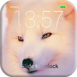 White Fox Lock Screen