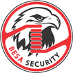 Besa Security