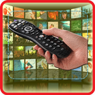 TV Télécommande universelle आइकन