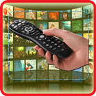 TV Télécommande universelle icône