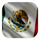 Canales y Radio México, Televisión de Mexico APK