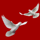 Prayers Book APK