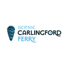 Carlingford Ferry icône