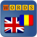 Puzzle Words: English-Romanian APK