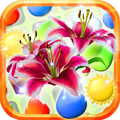 FlowerCraft