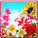 Plants APK