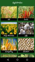 Vyavasayam Telugu Agriculture 스크린샷 1