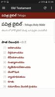 Telugu Bible ポスター