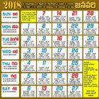 Icona Telugu Calendar 2018 and 2017 