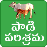 Dairy Farming Telugu biểu tượng