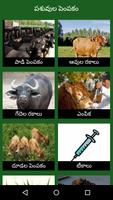 Poster Dairy Farming Telugu