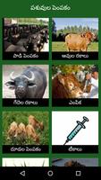 Dairy Farming Telugu Poster