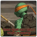 New Guide Teenage Mutant Ninja Turtles