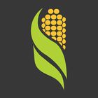 Al-Corn Clean Fuel আইকন