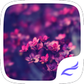 Purple Flower
