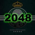 2048 Palmeiras biểu tượng