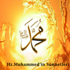 The Sunnah of Prophet Muhammad Zeichen