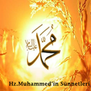 The Sunnah of Prophet Muhammad APK