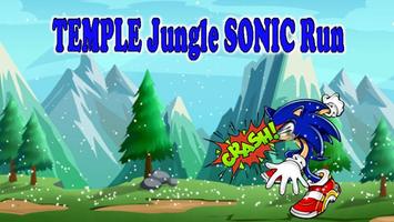 Temple Jungle Sonic World Run پوسٹر