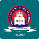 APK Prince School Teachers