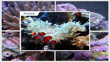 Ornamental Fish Culture screenshot 2