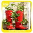 APK Best DIY Strawberry Pot