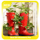 Best DIY Strawberry Pot icône
