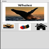 APK Whales