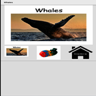 Whales icône