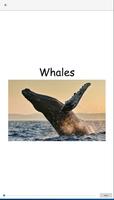 Whales capture d'écran 1