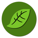 Spinach Motivation Lock Screen APK