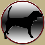 dogs and trapshooting for kids