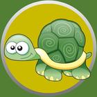 Turtle memory icône