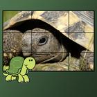 turtles puzzles for kids icône